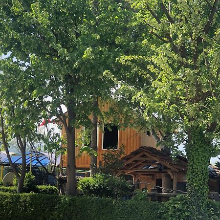 Bujtina Gashi Guest House Kukes Zewnętrze zdjęcie