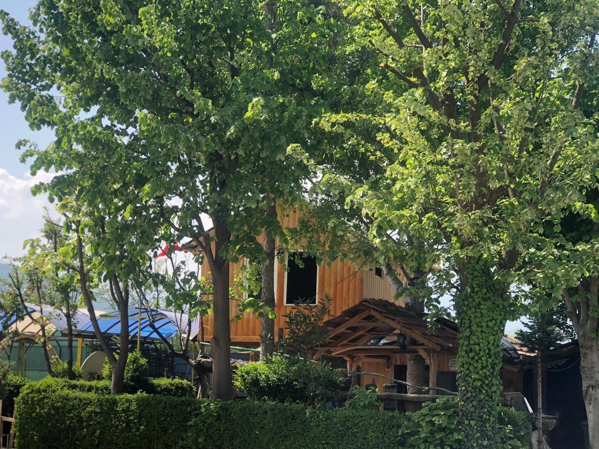 Bujtina Gashi Guest House Kukes Zewnętrze zdjęcie